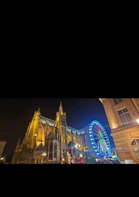 Le Cocon De La Cathedrale Apartment Metz Luaran gambar